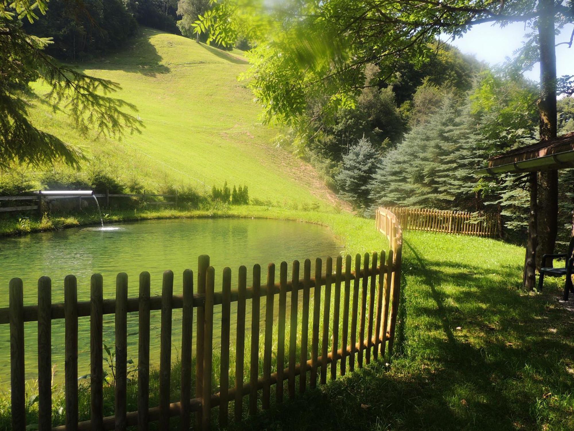 Haus Gafrina Bed and Breakfast Schruns Buitenkant foto